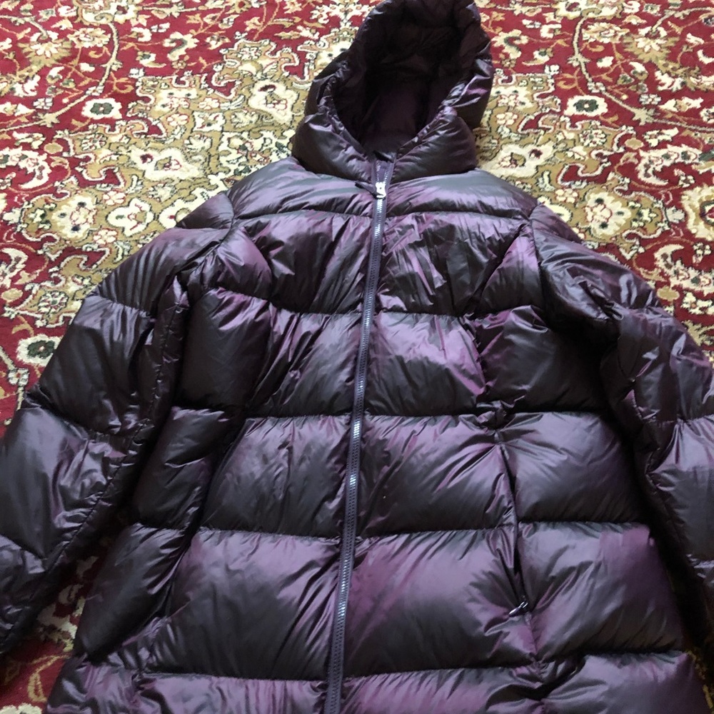 Eddie Bauer Winter Jacket